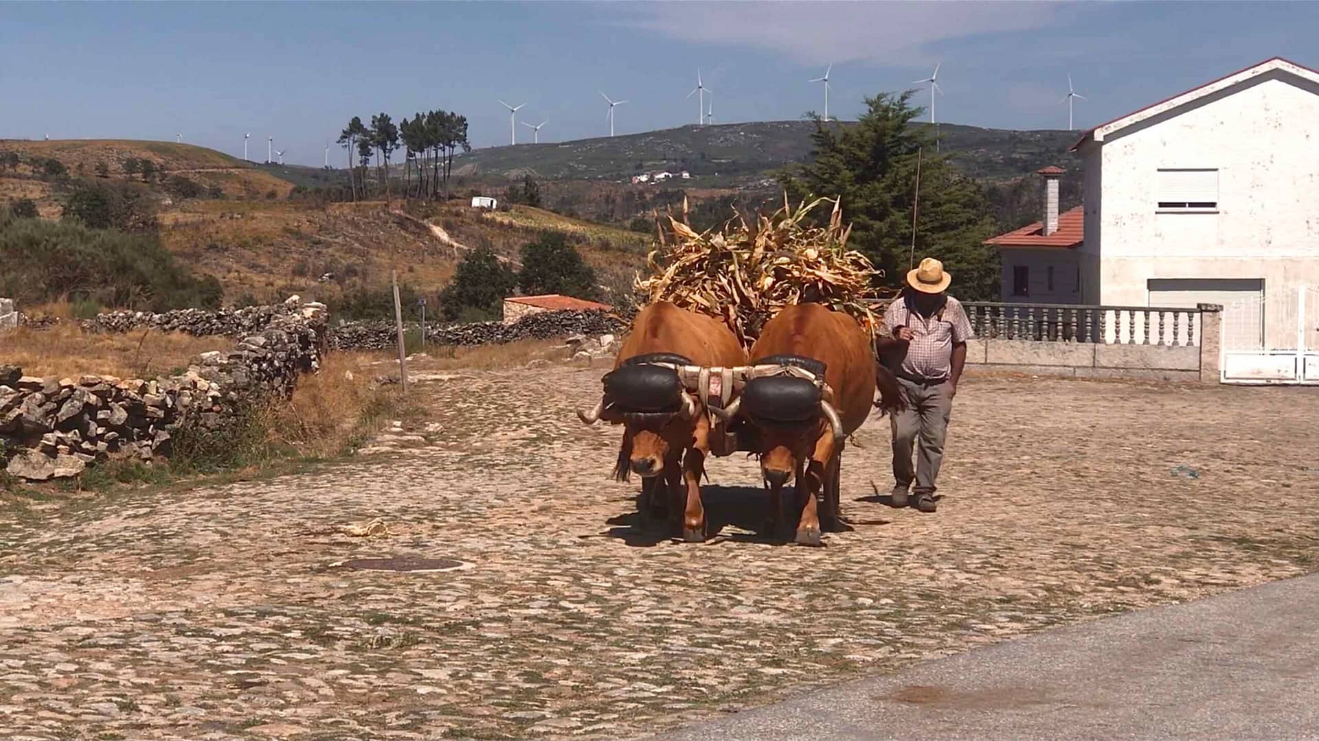 Vida rural no interior de Portugal, Caminho Português Interior de Santiago de Compostela